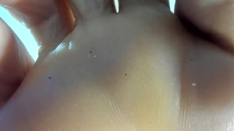 Afrodita online show from November 2025 12:54:02 AM