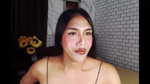 Cha online show from September 2025 05:13:02 PM