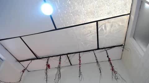 LAURA online show from March 2026 03:38:01 PM