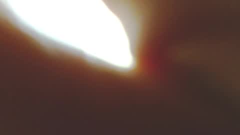 LAUREN SMITH online show from December 2025 08:29:02 AM