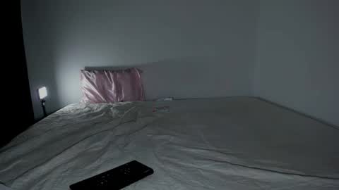 Snapshot of laurent_a chatting on February 2026 02:53:01 AM Lucie online show from February 2026 02:53:01 AM