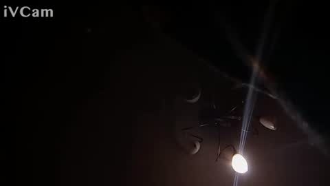 Snapshot of laydayy chatting on January 2026 10:37:02 PM laydayy online show from January 2026 10:37:02 PM