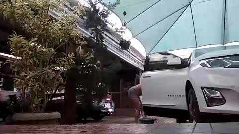 kelly online show from November 2025 07:27:01 PM