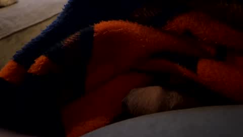 lc6173 online show from December 2024 01:43:01 AM