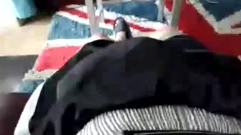 Snapshot of leatherpants68 chatting on July 2026 09:05:01 AM leatherpants68 online show from July 2026 09:05:01 AM