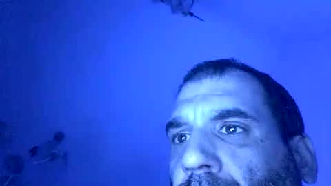 Snapshot of lechebizvm chatting on November 2025 11:37:02 PM lechebizvm online show from November 2025 11:37:02 PM
