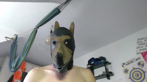 Leather Dog online show from July 2026 09:14:02 AM