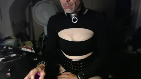 Leather Dog online show from August 2026 12:12:01 AM
