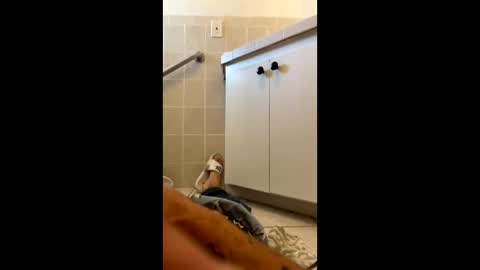 legal4 online show from March 2026 06:12:02 PM