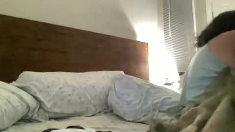 Snapshot of legallybrun91 chatting on June 2026 09:03:02 AM legallybrun91 online show from June 2026 09:03:02 AM