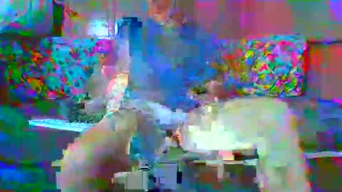 SEX  MASTER online show from January 2026 01:43:02 AM