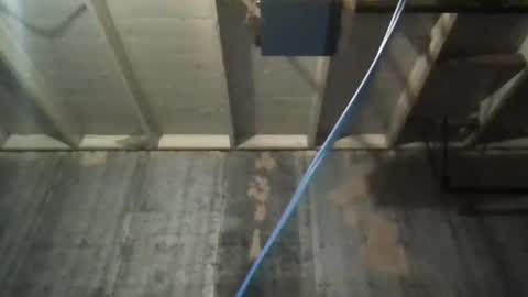 leo199984 online show from November 2025 03:39:02 AM