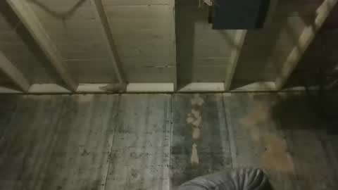 leo199984 online show from December 2025 03:24:02 AM