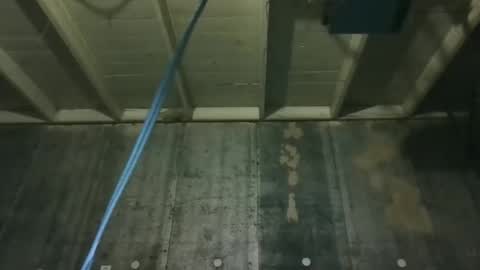 leo199984 online show from February 2026 03:55:02 AM