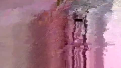 letslookateach online show from February 2026 08:46:02 AM