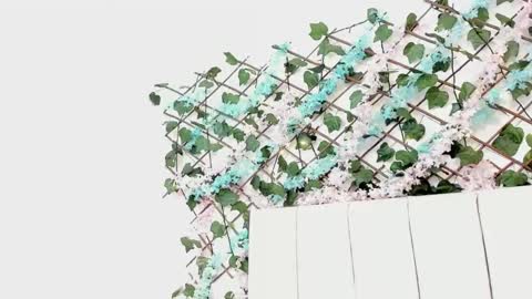 Gabrielle online show from September 2025 10:30:01 AM