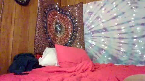 LexieLanierxo online show from February 2026 06:01:01 AM