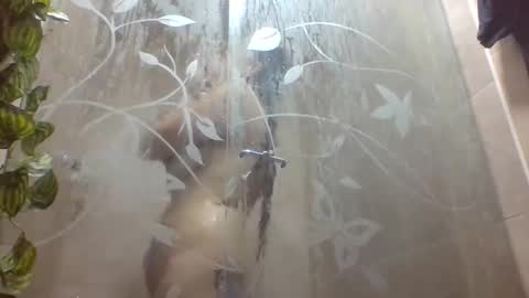 Snapshot of leyla_horny_bg chatting on December 2025 09:56:01 PM leyla_horny_bg online show from December 2025 09:56:01 PM