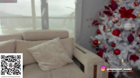 INSTA leylasteel model         online show from December 2024 02:01:01 PM