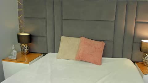   online show from February 2026 11:52:01 AM