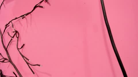 Liam online show from January 2026 03:10:02 AM