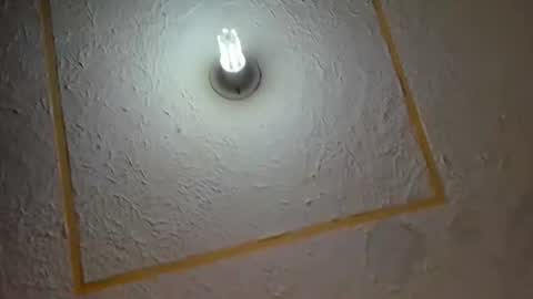 Snapshot of lianfox_ chatting on July 2026 12:30:02 PM lianfox_ online show from July 2026 12:30:02 PM