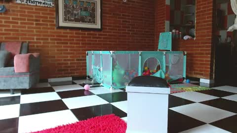 Liarouse04 online show from April 2026 01:48:02 PM