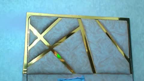 Snapshot of liaruso chatting on January 2025 02:50:02 AM liaross online show from January 2025 02:50:02 AM