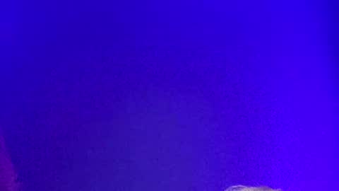 Snapshot of lickyouryoni chatting on December 2024 02:19:02 PM LickYourYoni online show from December 2024 02:19:02 PM