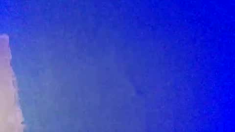 Snapshot of lickyouryoni chatting on February 2025 03:36:02 PM LickYourYoni online show from February 2025 03:36:02 PM