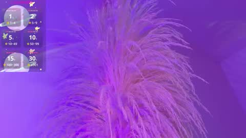 Liiam Luna online show from December 2025 09:04:01 AM