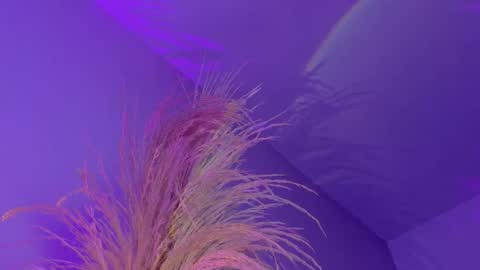 Liiam Luna online show from January 2026 12:40:01 PM