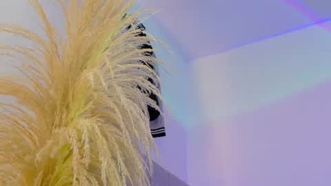 Snapshot of liiamluna chatting on June 2026 10:02:01 AM Liiam Luna online show from June 2026 10:02:01 AM