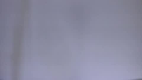         online show from December 2025 11:38:02 AM