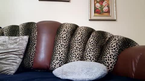 Celine online show from December 2024 10:53:01 PM