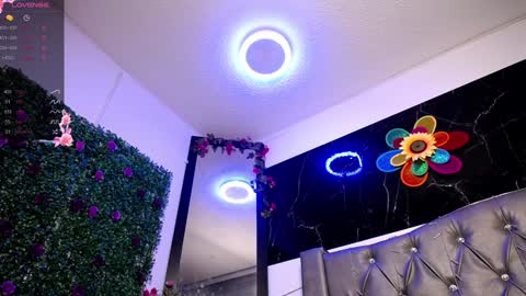   online show from December 2024 10:44:02 AM