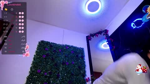   online show from December 2024 01:38:02 PM