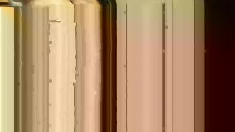 Sasquatch online show from February 2026 06:39:02 PM