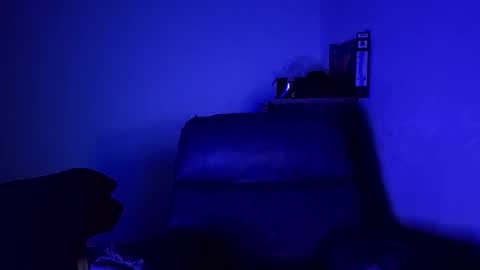 Fernando online show from November 2025 04:23:02 AM