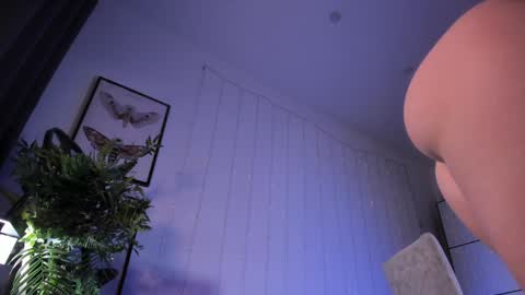 LIL online show from February 2025 12:16:01 PM