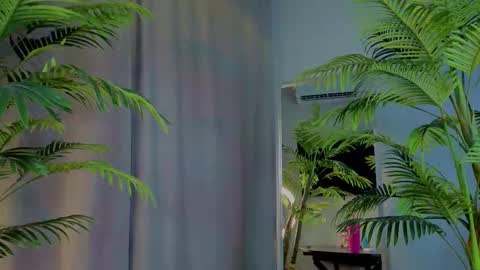 lililok101 online show from November 2025 02:22:02 AM