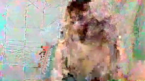 lily online show from June 2026 07:03:02 PM