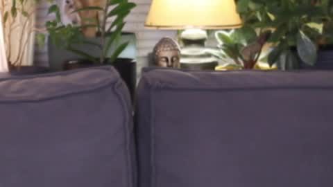 -- My Wishlist  online show from November 2025 03:55:01 PM