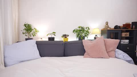 -- My Wishlist  online show from February 2026 07:51:01 AM