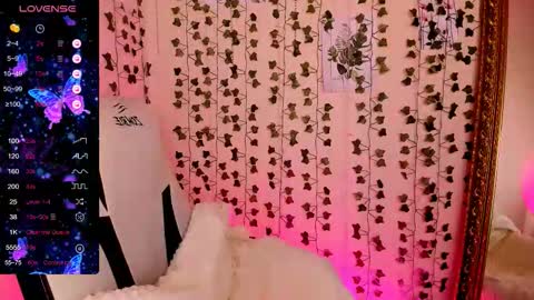 Lina online show from February 2026 08:23:02 AM