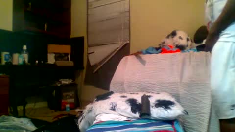 Richie Rich online show from January 2025 08:22:01 AM