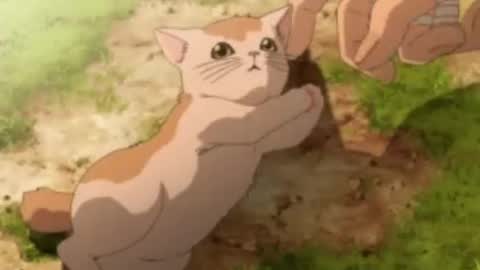 Luna online show from November 2025 11:42:02 AM