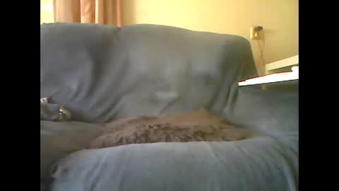 lion160868 online show from October 2025 10:32:02 AM