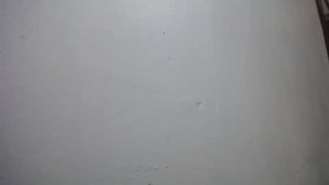 lisa_branch online show from November 2025 11:02:01 AM