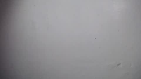 lisa_branch online show from December 2025 11:06:02 AM